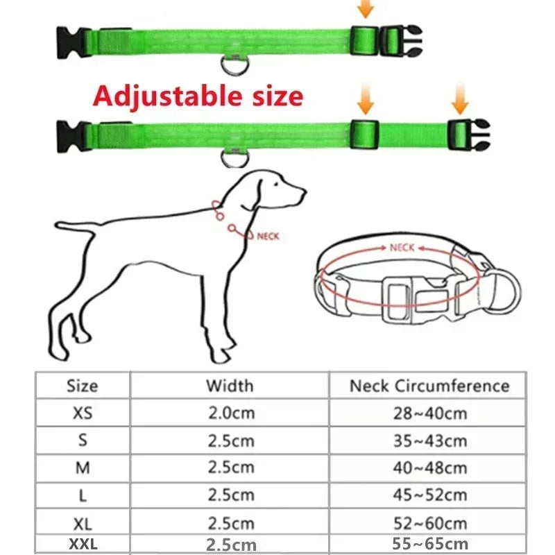 LED Glowing Dog Collar Adjustable Flashing Rechargeable Luminous Night Collar for Small Dogs Anti-Lost Pet Product