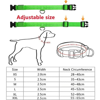 LED Glowing Dog Collar Adjustable Flashing Rechargeable Luminous Night Collar for Small Dogs Anti-Lost Pet Product