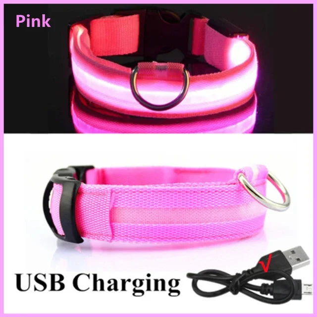 LED Glowing Dog Collar Adjustable Flashing Rechargeable Luminous Night Collar for Small Dogs Anti-Lost Pet Product
