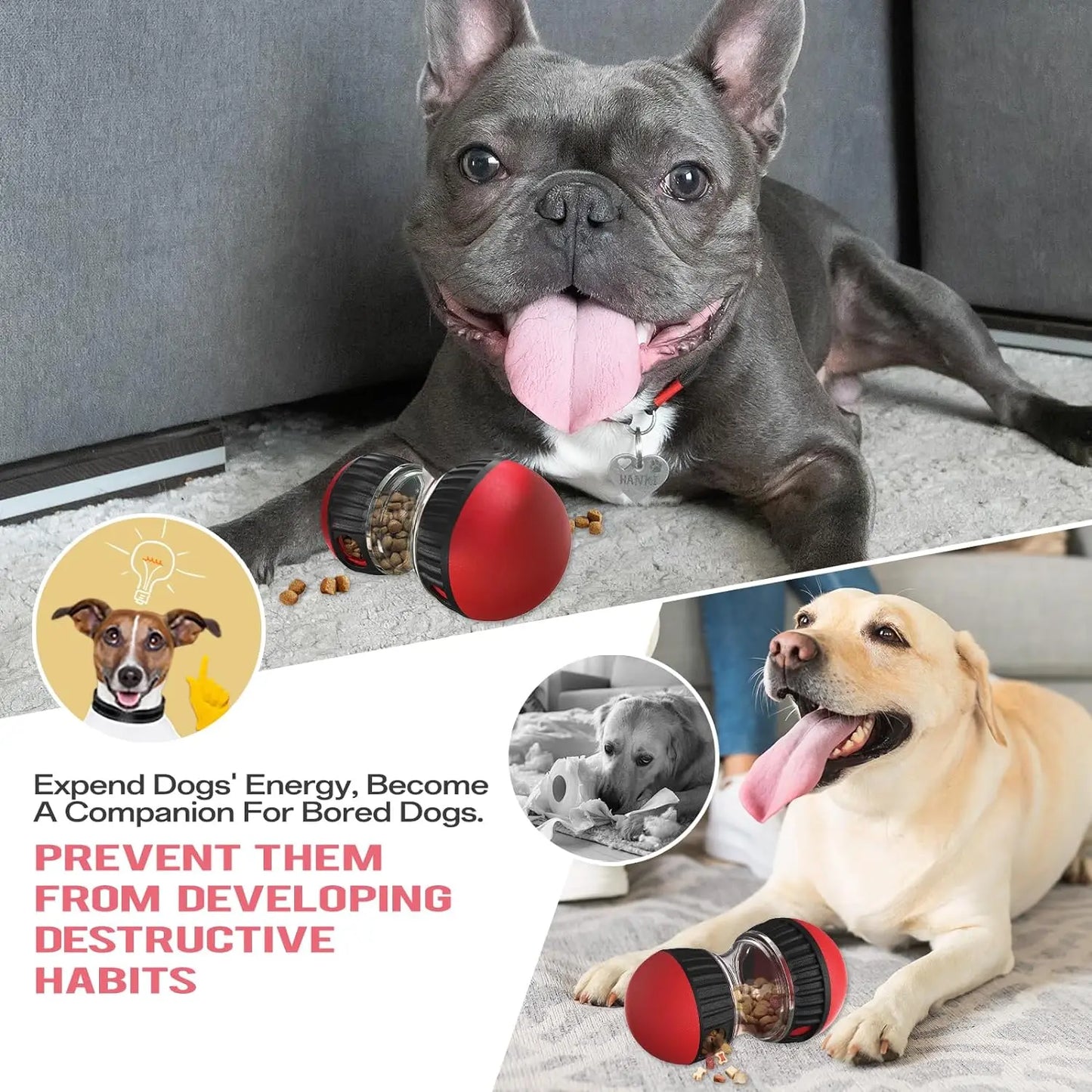 Dog Puzzle Toy – Elliptical Track Rolling Ball for Intelligence & Interactive Play