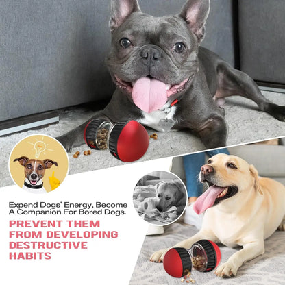 Dog Puzzle Toy – Elliptical Track Rolling Ball for Intelligence & Interactive Play