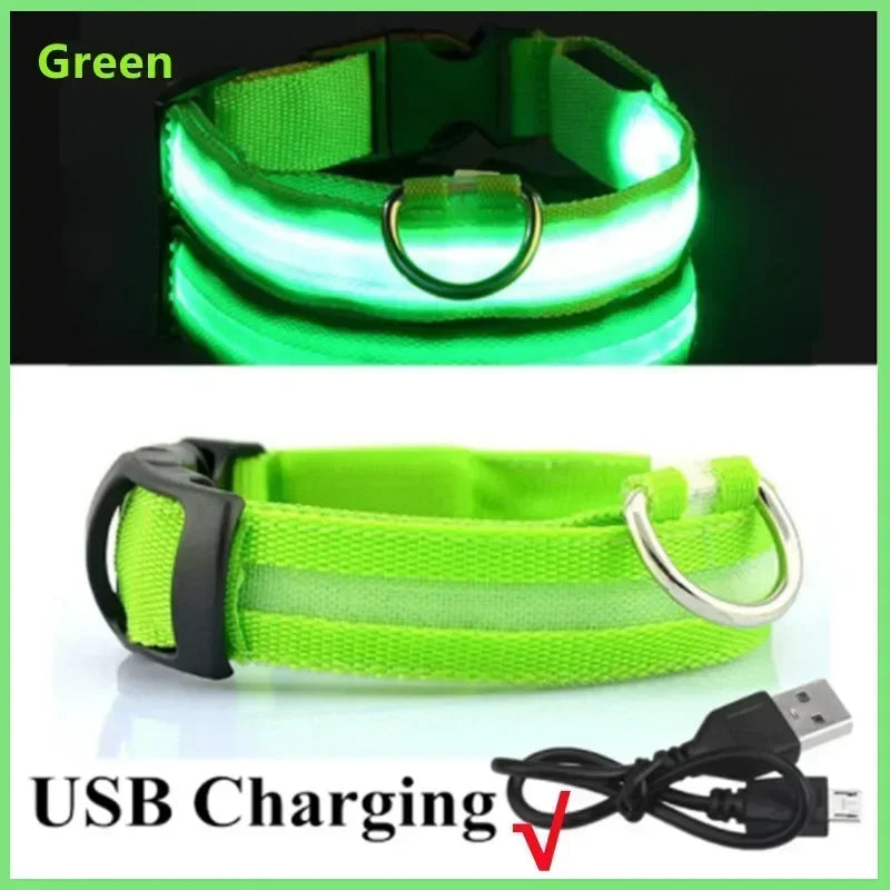 LED Glowing Dog Collar Adjustable Flashing Rechargeable Luminous Night Collar for Small Dogs Anti-Lost Pet Product