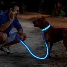 LED Glowing Dog Collar Adjustable Flashing Rechargeable Luminous Night Collar for Small Dogs Anti-Lost Pet Product