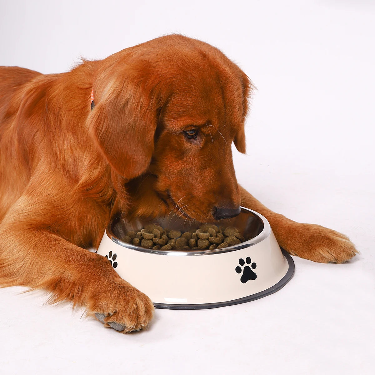 Stainless Steel Anti-Fall Pet Bowl – Cat & Dog Food Bowl, Multi-Specification