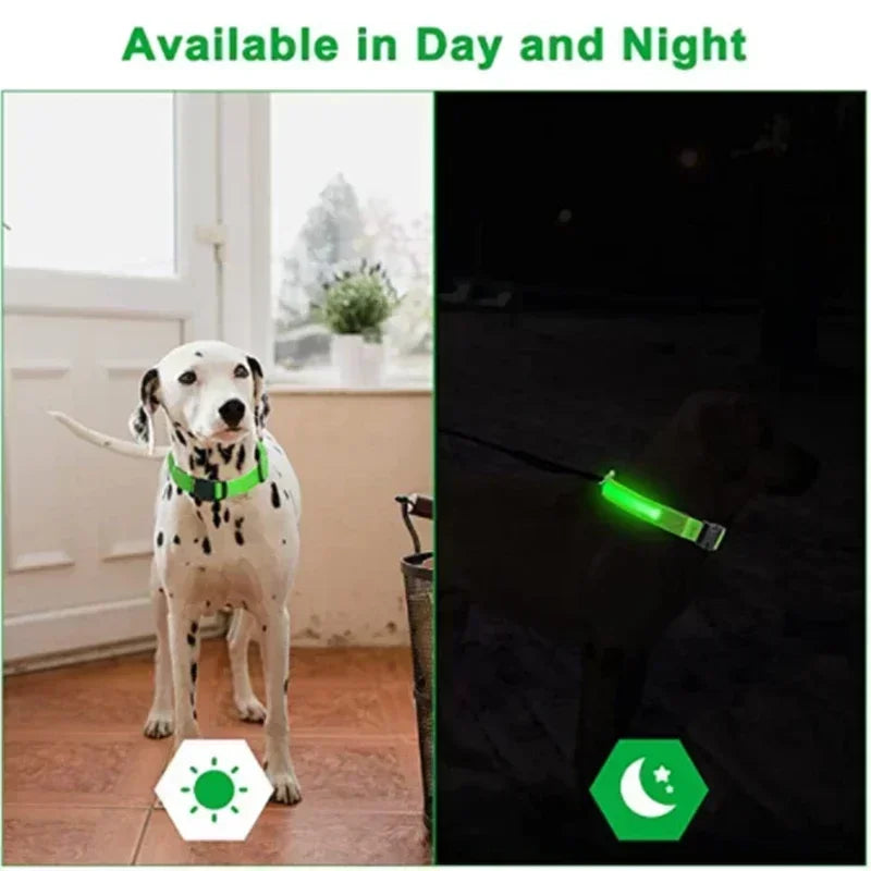 LED Glowing Dog Collar Adjustable Flashing Rechargeable Luminous Night Collar for Small Dogs Anti-Lost Pet Product