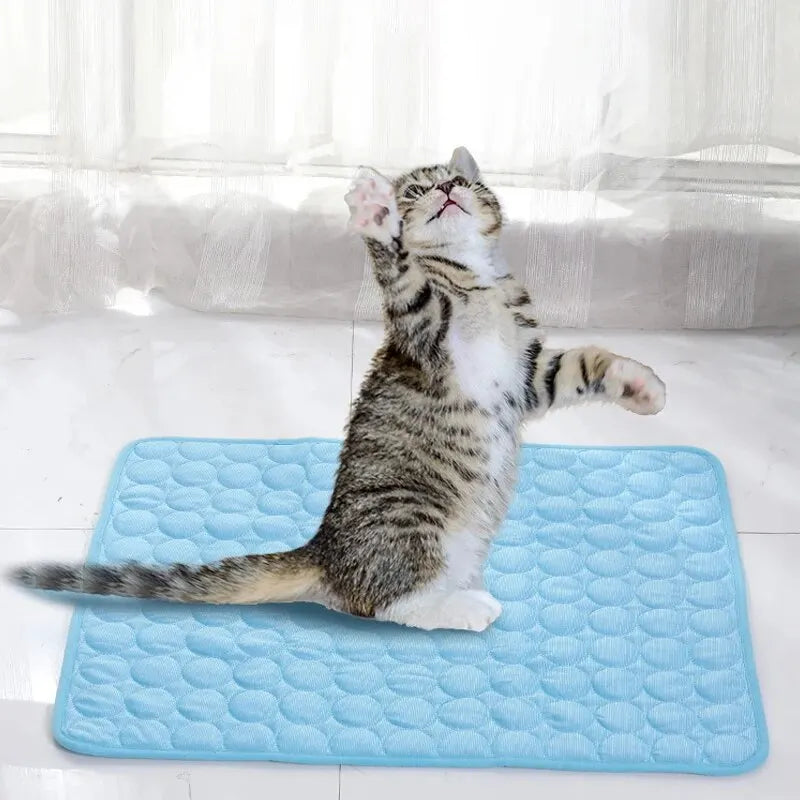 Pet Ice Mat Cooling Pad for Cats & Dogs – Summer Sofa Bed Blanket for Small Pets