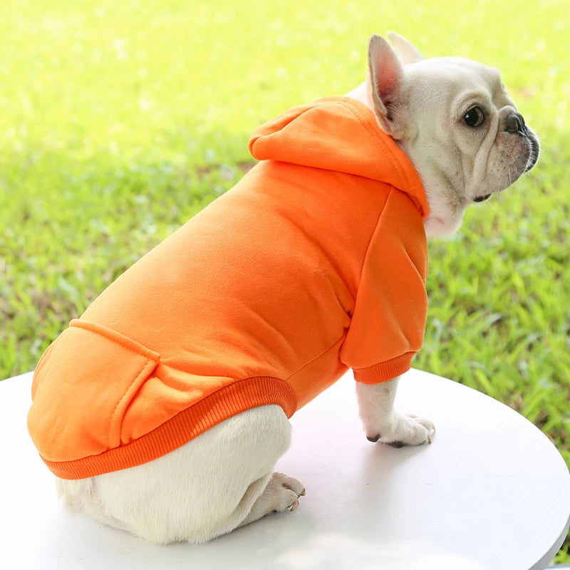 Fashion Dog Hoodie – Warm Autumn & Winter Small Pet Clothes, Thickened Two-Legged Sweater