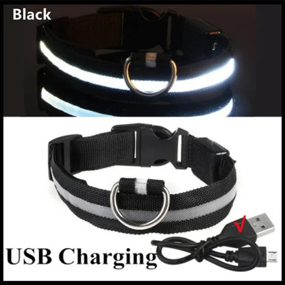 LED Glowing Dog Collar Adjustable Flashing Rechargeable Luminous Night Collar for Small Dogs Anti-Lost Pet Product