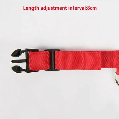 LED Glowing Dog Collar Adjustable Flashing Rechargeable Luminous Night Collar for Small Dogs Anti-Lost Pet Product