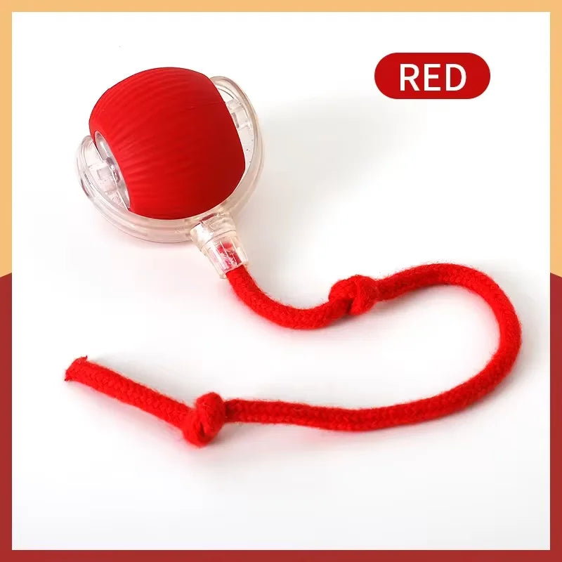 Smart Cat Toy Automatic Rolling Ball with Fake Tail Rechargeable Electric Interactive Training Toy for Dogs & Cats