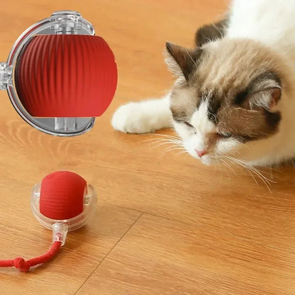 Smart Cat Toy Automatic Rolling Ball with Fake Tail Rechargeable Electric Interactive Training Toy for Dogs & Cats