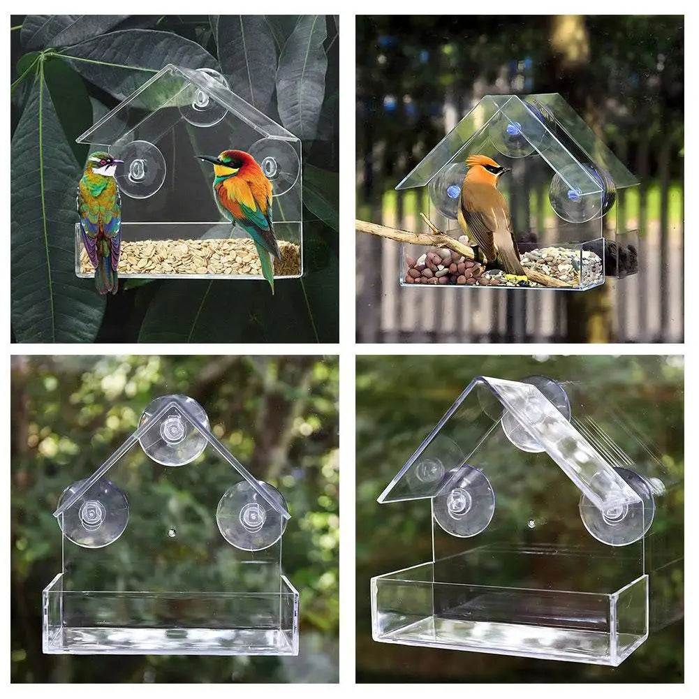 Window Bird Feeder with Reusable Tray & Waterproof Squirrel Food Container