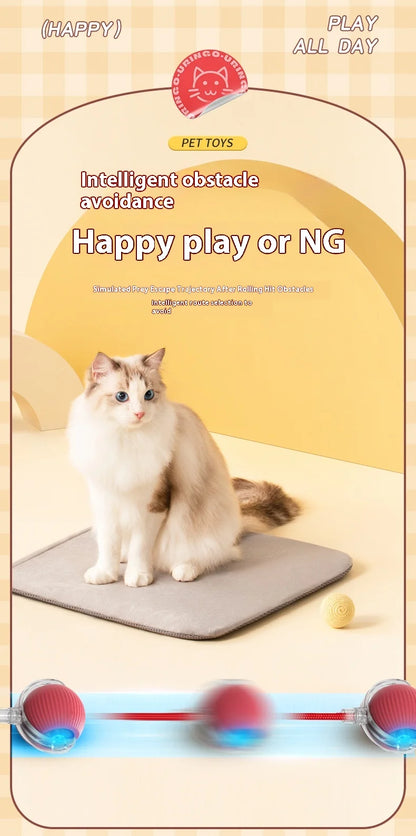 Electric Cat Ball Toy Automatic Rolling Ball with Teaser Bird Smart Interactive Rechargeable Pet Toy