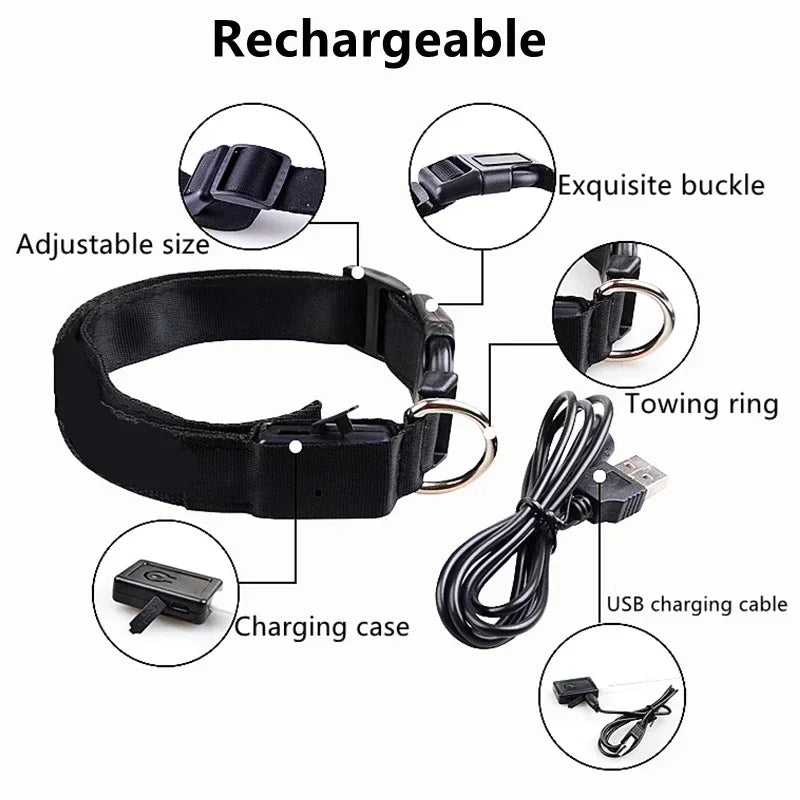 LED Glowing Dog Collar Adjustable Flashing Rechargeable Luminous Night Collar for Small Dogs Anti-Lost Pet Product