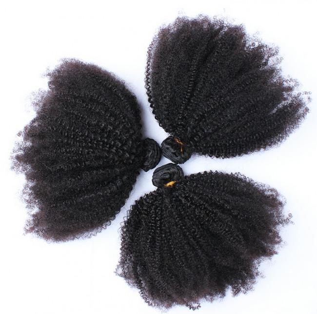 Afro Kinky Curly Brazilian Human Hair