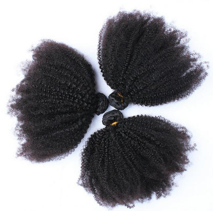 Afro Kinky Curly Brazilian Human Hair